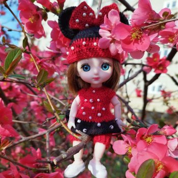 Волшебство, когда цветут сады. Японская айва