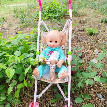 Антошка с Верой на прогулке