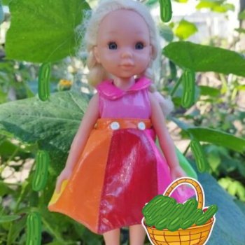 Выросли на даче огурцы