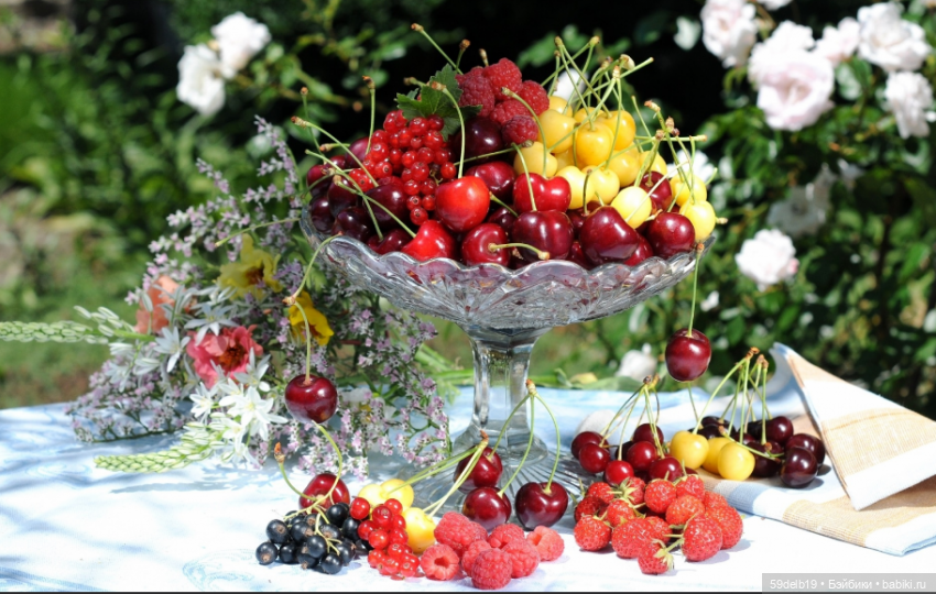 Летом на даче - ягодный рай