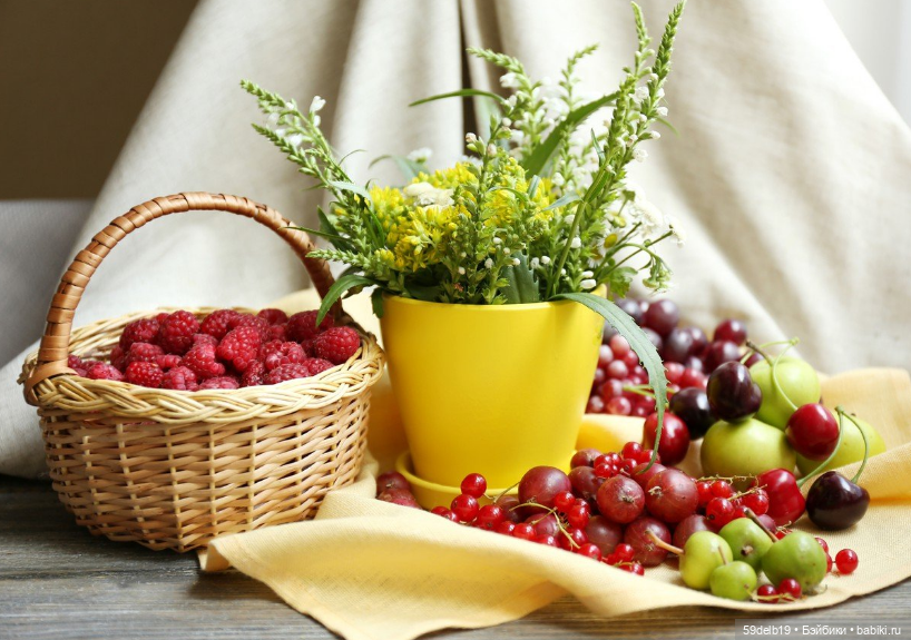 Летом на даче - ягодный рай (фото 3)