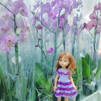 В магазине "Мир цветов"