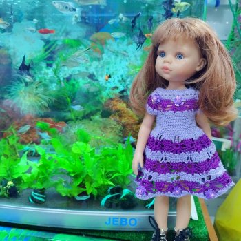 Прогулка по зоомагазину