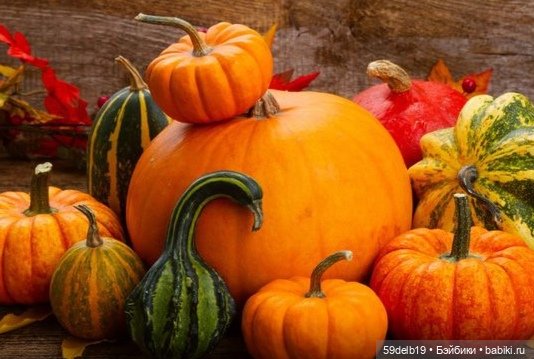 Октября разноцветный калейдоскоп🍁🍁🍁🎃🎃🎃🍂🍂🍂 | Бэйбики Октября разноцветный калейдоскоп🍁🍁🍁🎃🎃🎃🍂🍂🍂 (фото 4)