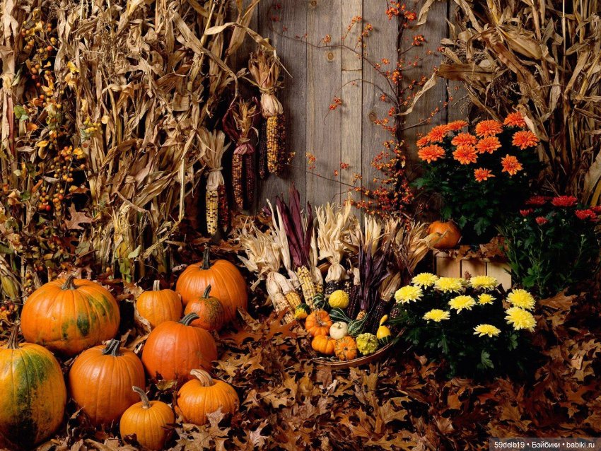 Октября разноцветный калейдоскоп🍁🍁🍁🎃🎃🎃🍂🍂🍂 | Бэйбики Октября разноцветный калейдоскоп🍁🍁🍁🎃🎃🎃🍂🍂🍂 (фото 2)