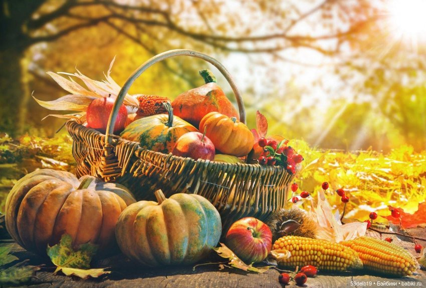 Октября разноцветный калейдоскоп🍁🍁🍁🎃🎃🎃🍂🍂🍂 | Бэйбики Октября разноцветный калейдоскоп🍁🍁🍁🎃🎃🎃🍂🍂🍂