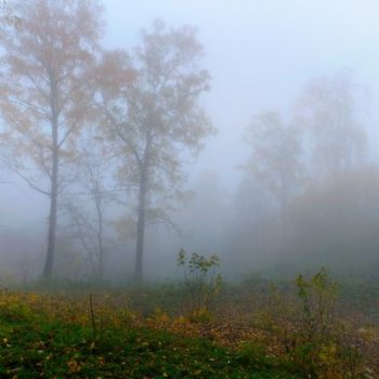Почти середина ноября, похолодало, ч. I