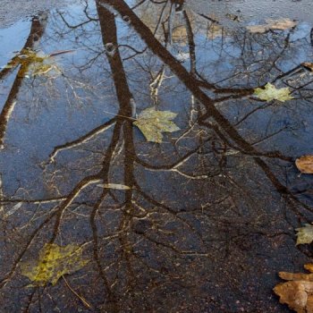 Последняя декада декабря