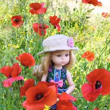 Засияли ярко маки🥀🥀🥀🥀🥀🥀🥀🥀