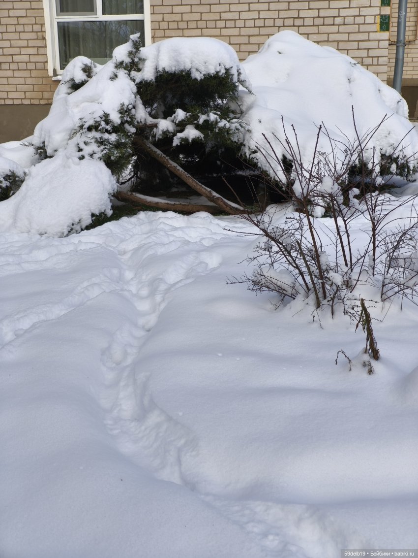 А у нас на юге после оттепели снова зимняя погода