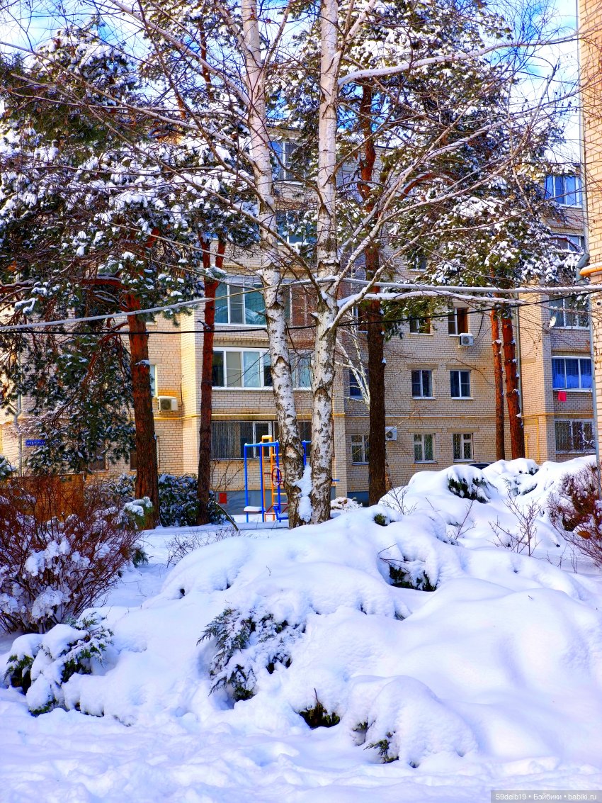 А у нас на юге после оттепели снова зимняя погода (фото 2)