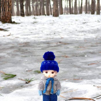 Алёшкина прогулка