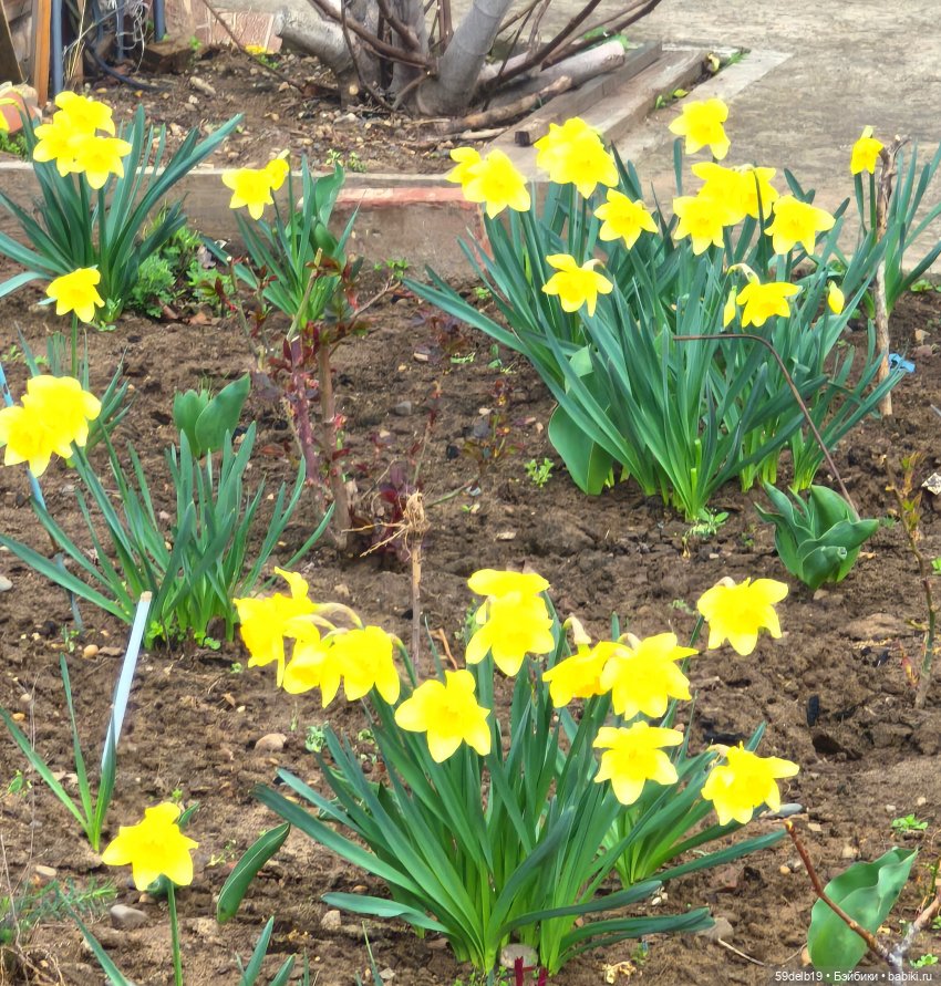 Готовимся к празднику — Одежда и обувь для кукол своими руками: фото