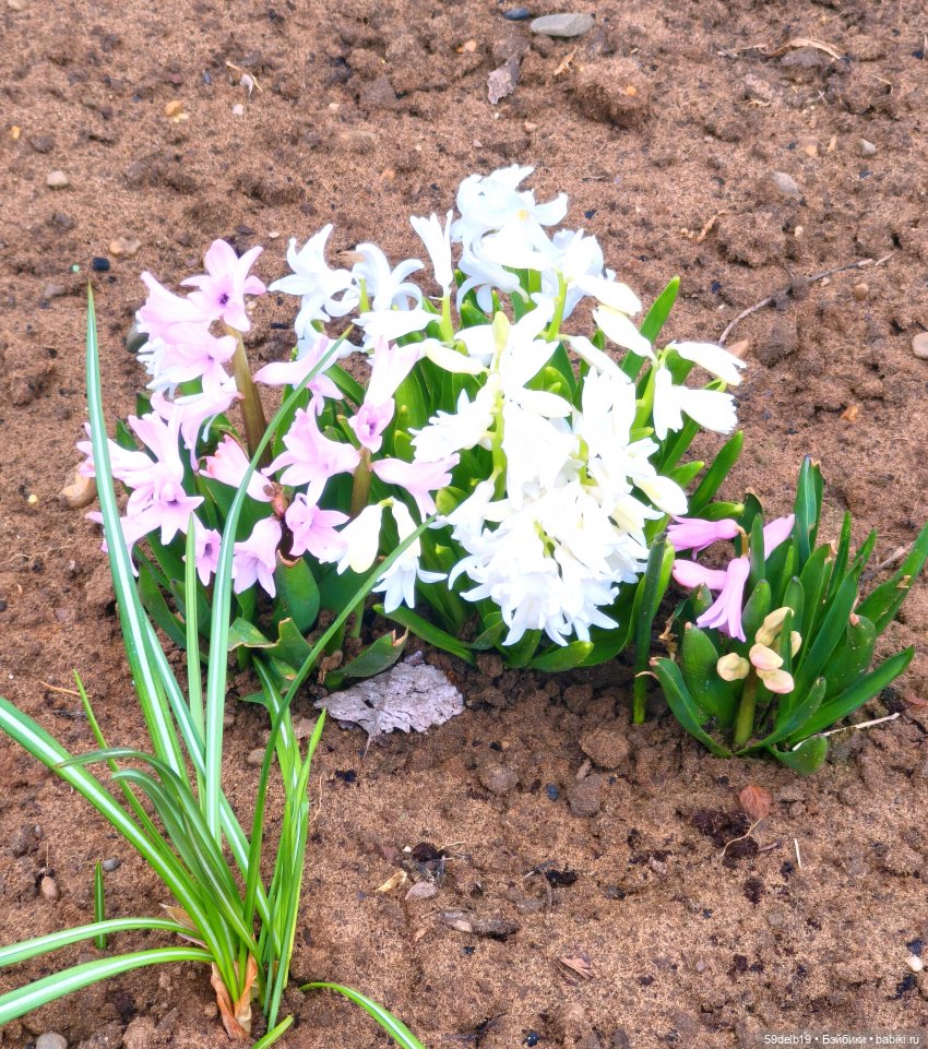 Готовимся к празднику — Одежда и обувь для кукол своими руками: фото (фото 2)