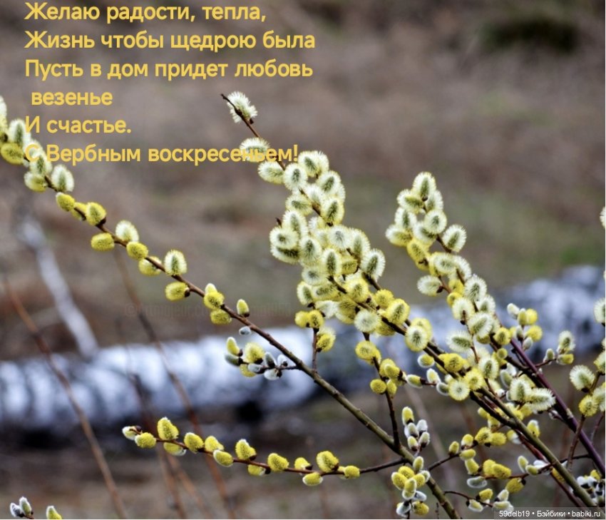 С Вербным Воскресеньем — Куклы Paola Reina (Паола Рейна): новинки