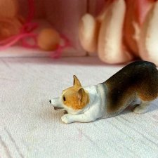 Корги- питомец для ваших деток