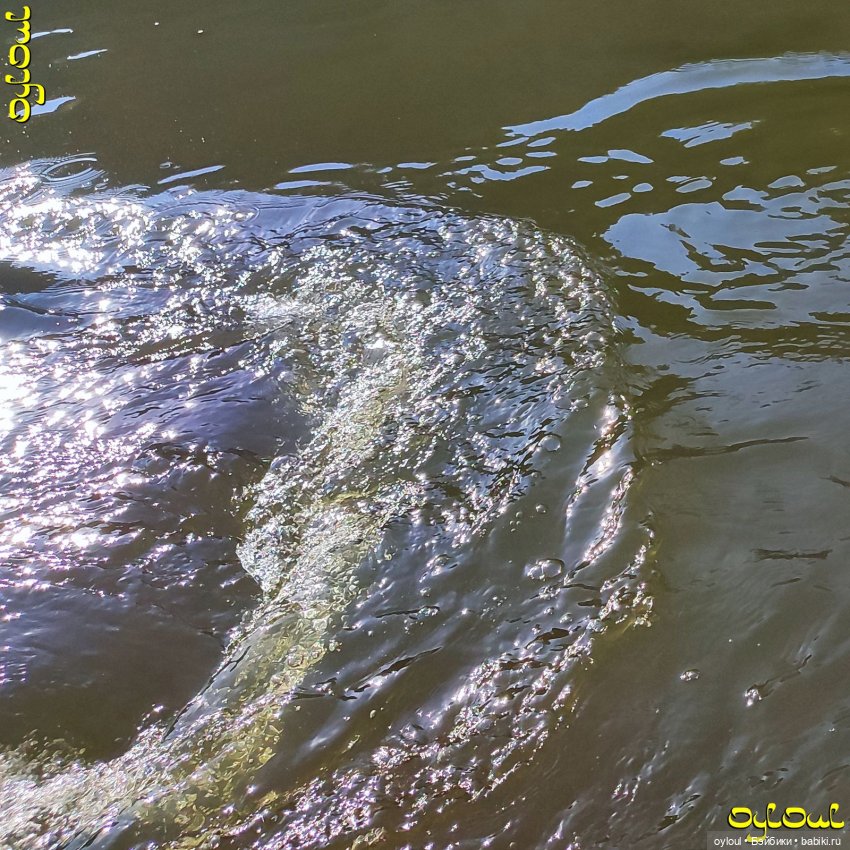 (67) Ты неси меня, река. Ай / День 2-й