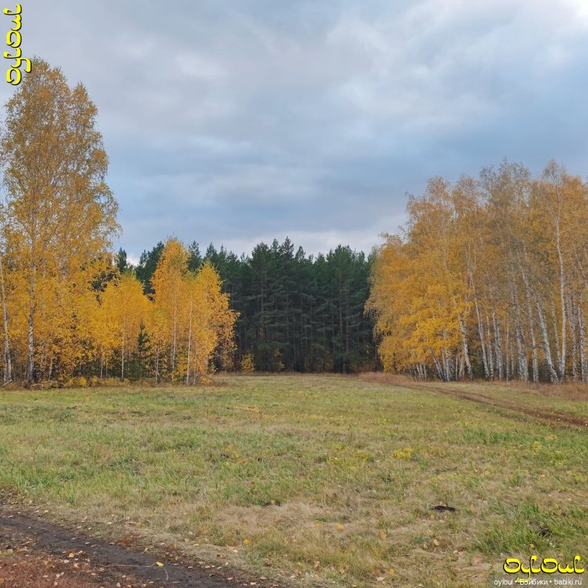 (88) «Я достаю из широких штанин…» (фото 2)