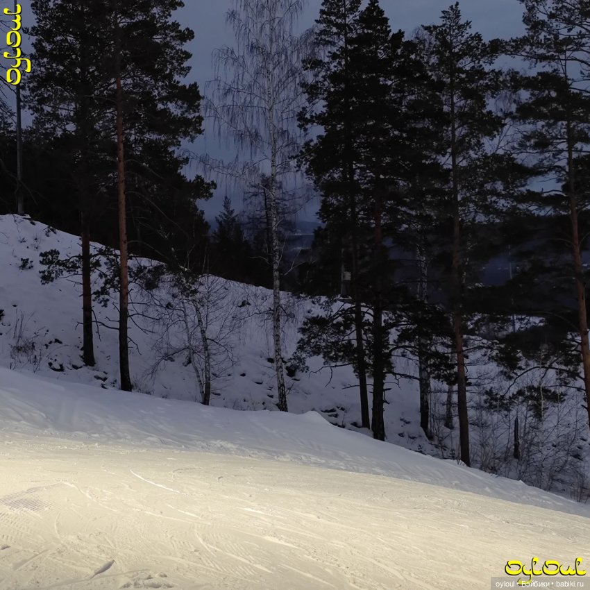 (99) Omnia mea mecum porto