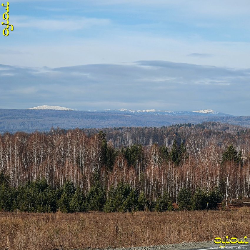 (100) Хребет Уреньга. Вторая сопка (фото 3)