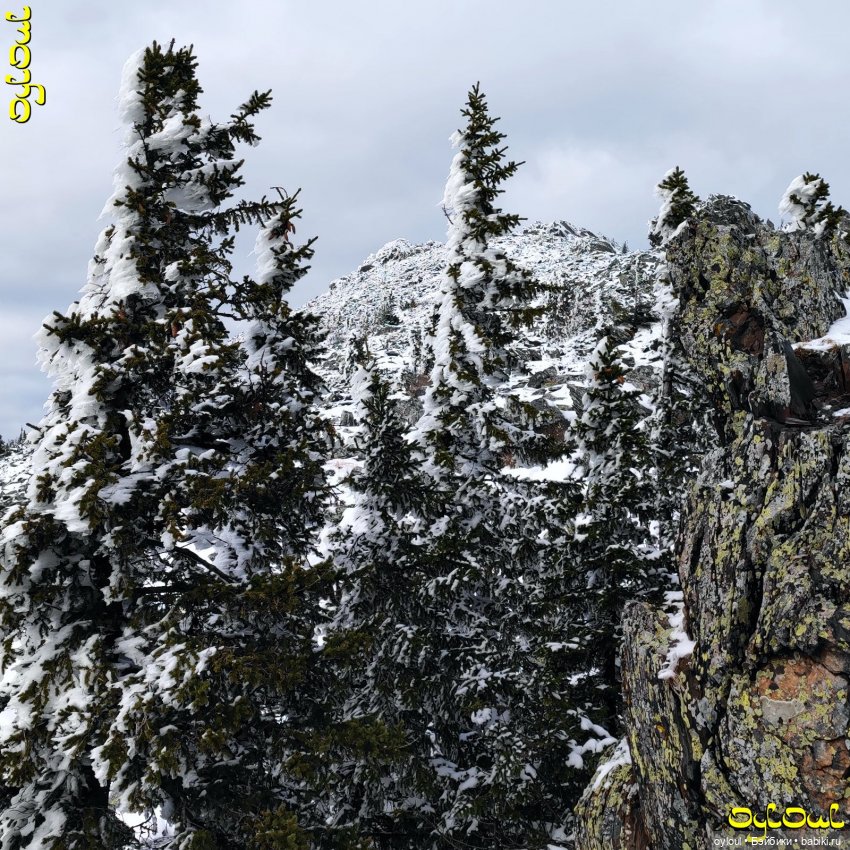 (100) Хребет Уреньга. Вторая сопка