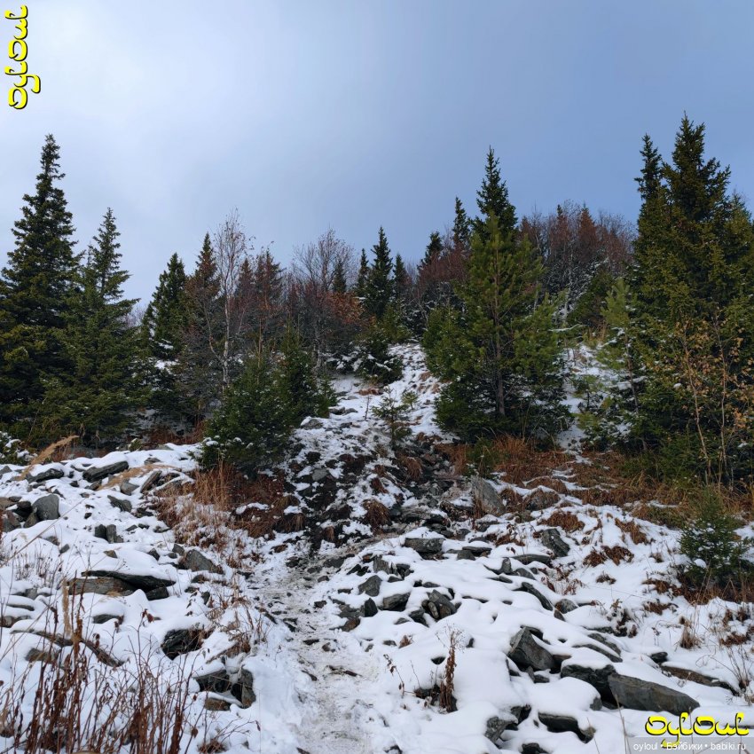 (100) Хребет Уреньга. Вторая сопка (фото 9)