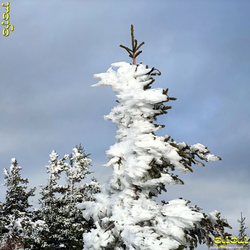 (100) Хребет Уреньга. Вторая сопка