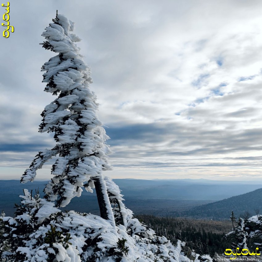 (100) Хребет Уреньга. Вторая сопка