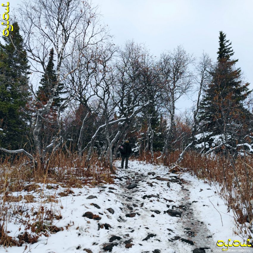 (100) Хребет Уреньга. Вторая сопка (фото 8)