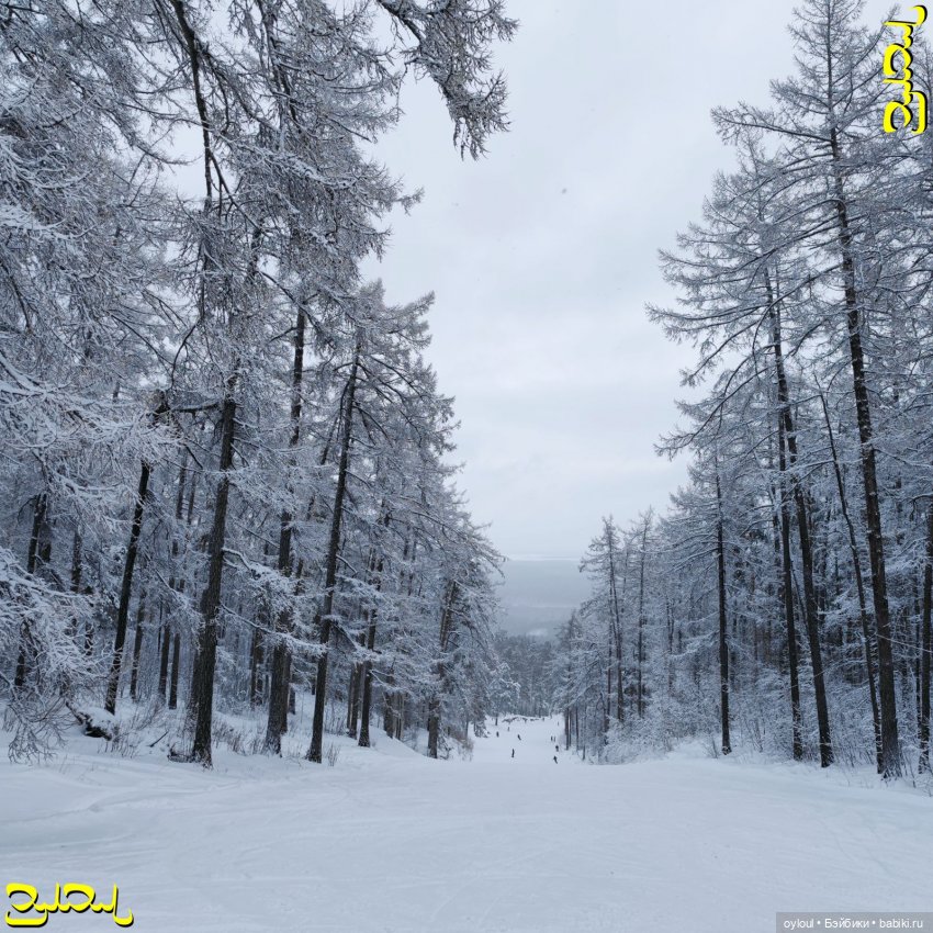 [15] Лучше гор — Домашние коллекции кукол: фото собраний (фото 2)