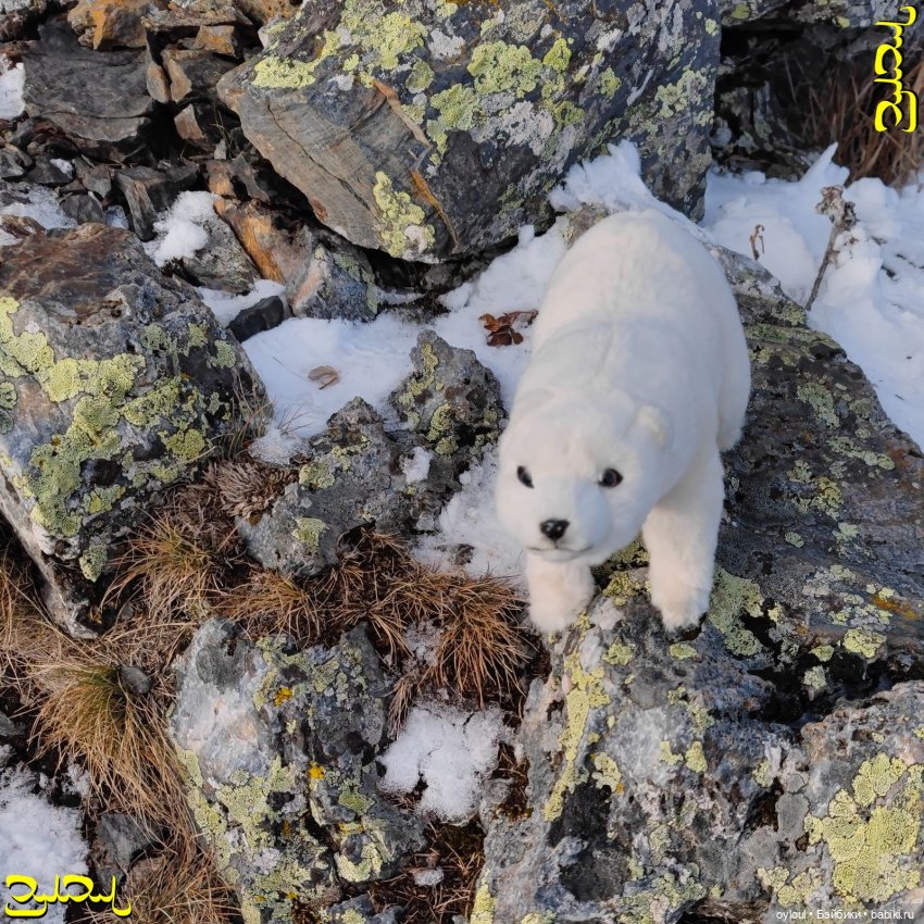 [3] Дружба навек — Домашние коллекции кукол: фото собраний (фото 2)