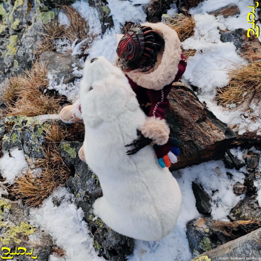 [3] Дружба навек — Домашние коллекции кукол: фото собраний (фото 7)