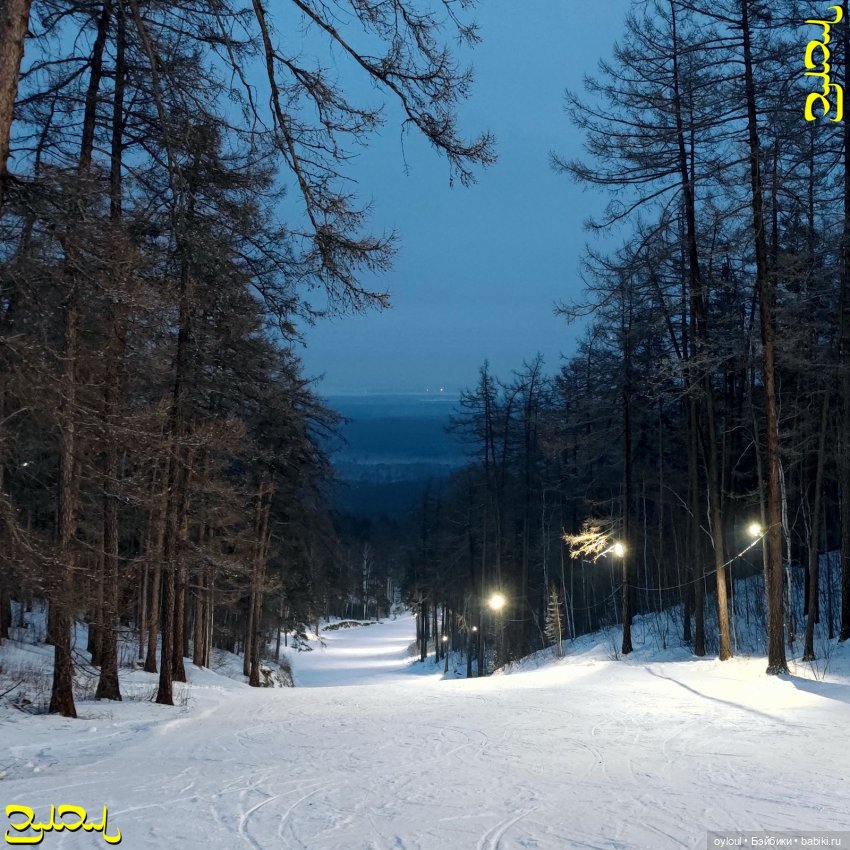 [15] Лучше гор — Домашние коллекции кукол: фото собраний (фото 9)