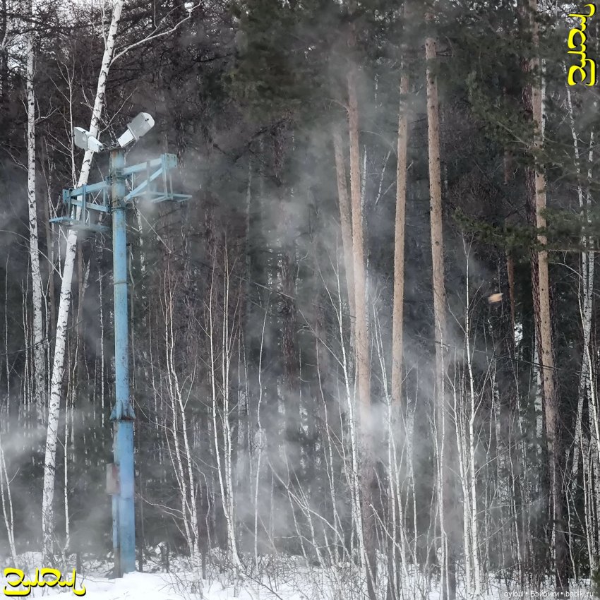 [15] Лучше гор — Домашние коллекции кукол: фото собраний (фото 6)