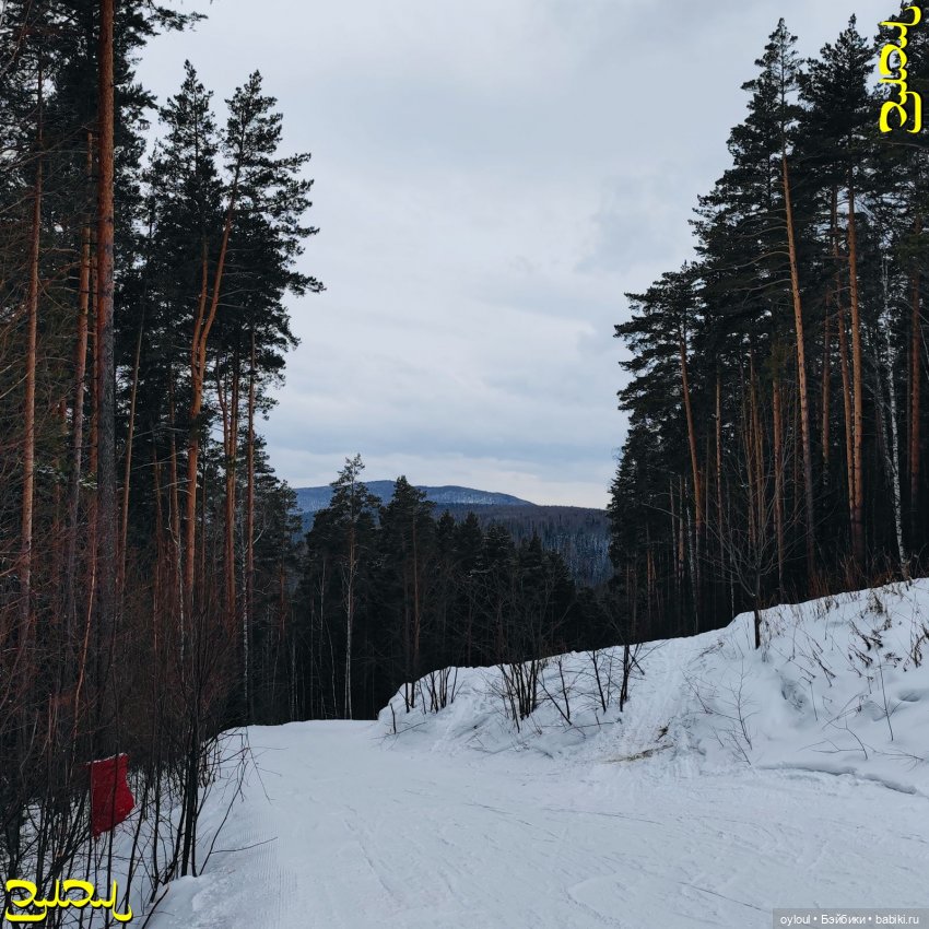 [21] Во мне всё кипит — Домашние коллекции кукол: фото собраний