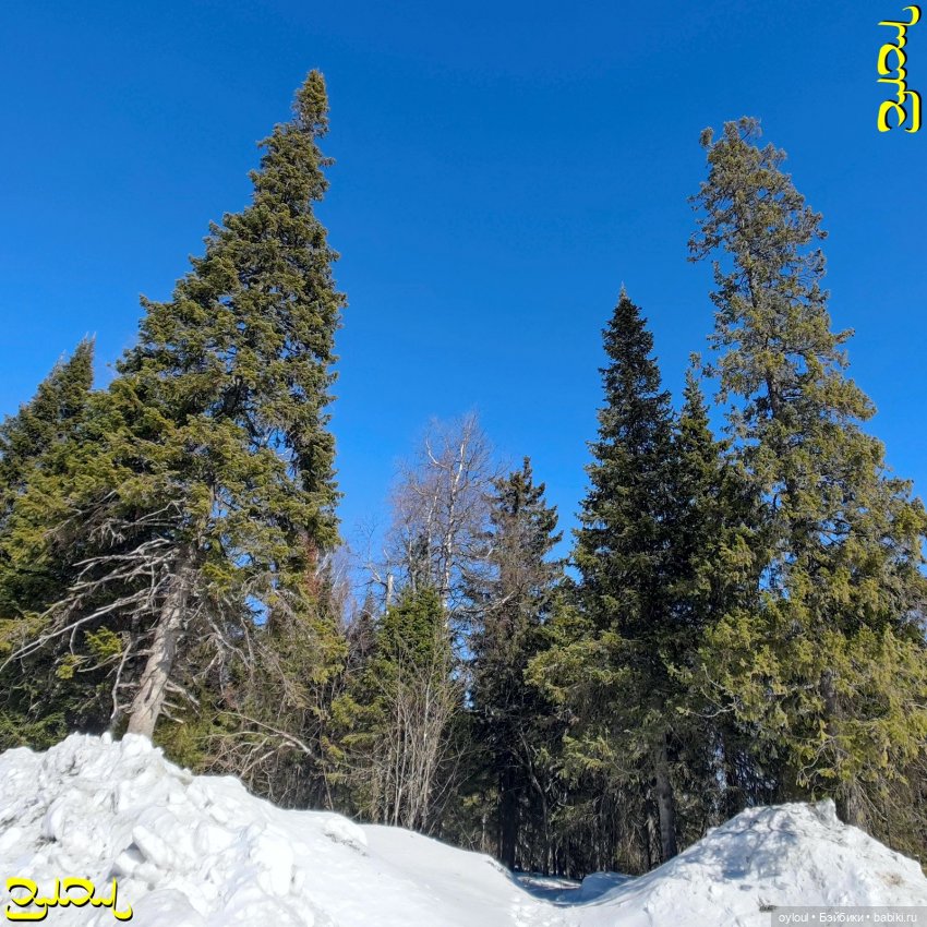 [27] Панорама Таганая — Домашние коллекции кукол: фото собраний