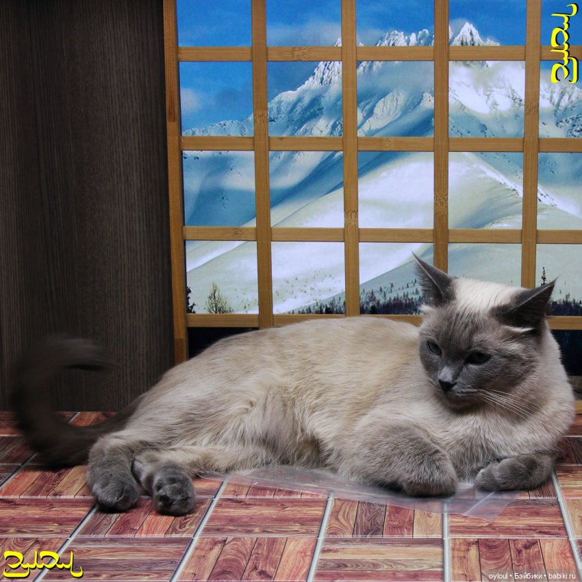 [32] Сноубордический костюм 1:6 / Выкройки