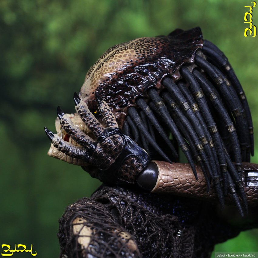 [46] Хищник №12 — Домашние коллекции кукол: фото собраний (фото 2)