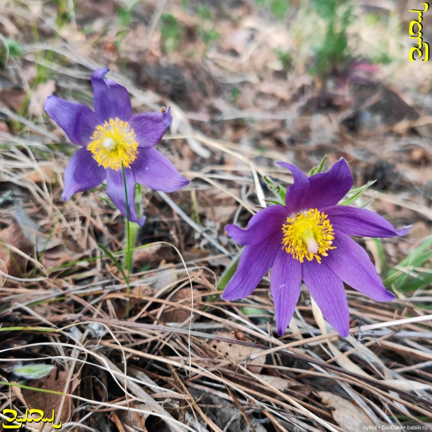 [49] Юрюзань: пещера Дворец + бонус