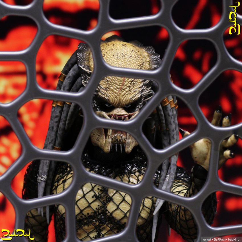 [43] Хищник №11 — Домашние коллекции кукол: фото собраний (фото 3)