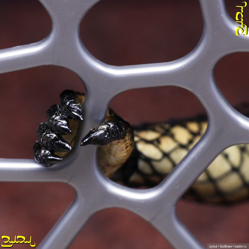 [43] Хищник №11 — Домашние коллекции кукол: фото собраний