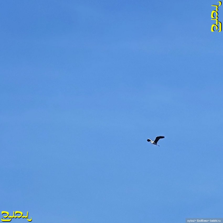 [63] Самый экстремальный сплав (фото 7)