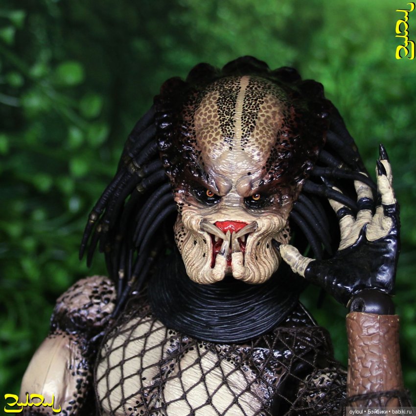 [46] Хищник №12 — Домашние коллекции кукол: фото собраний (фото 5)