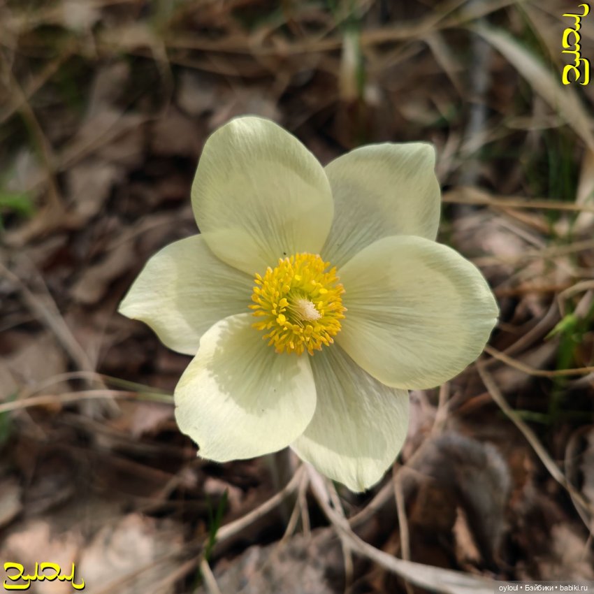 [49] Юрюзань: пещера Дворец + бонус