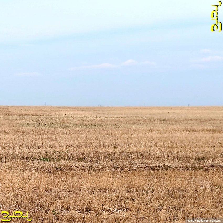 [53] Тадеуш на Касаргах — Домашние коллекции кукол: фото собраний (фото 5)