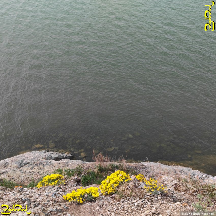 [53] Тадеуш на Касаргах — Домашние коллекции кукол: фото собраний (фото 10)