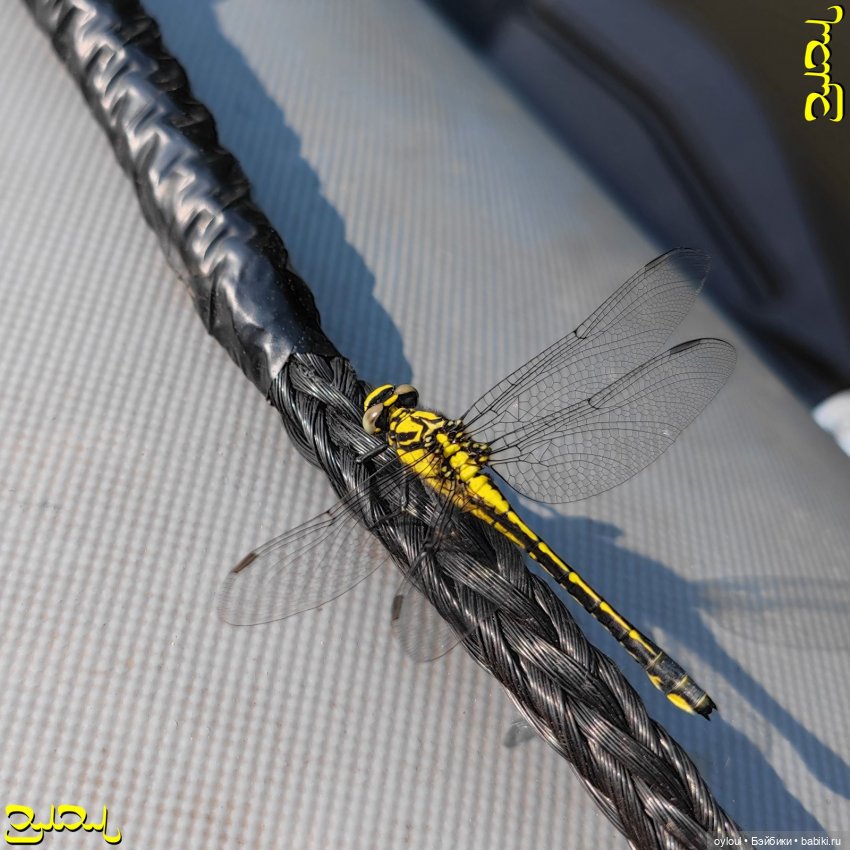 [56] Сплав по Чусовой — Домашние коллекции кукол: фото собраний