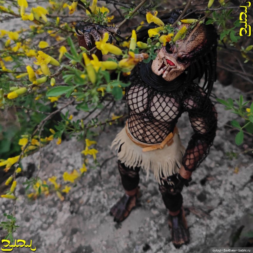 [58] Собачьи Рёбра — Домашние коллекции кукол: фото собраний