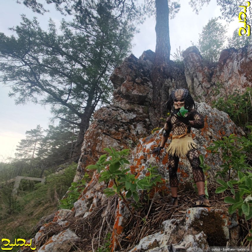 [58] Собачьи Рёбра — Домашние коллекции кукол: фото собраний (фото 9)