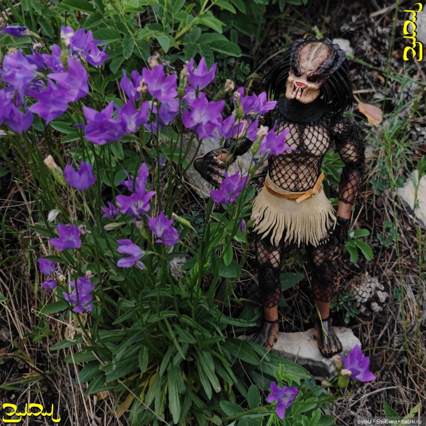 [58] Собачьи Рёбра — Домашние коллекции кукол: фото собраний (фото 2)